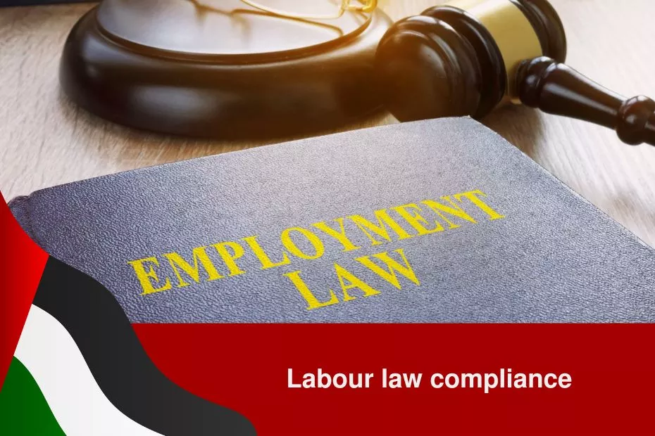 Blog 119 The Importance of Compliance with UAE Labor Laws for OHS